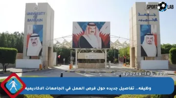 وظيفة.. تفاصيل جديدة حول فرص العمل في الجامعات الأكاديمية